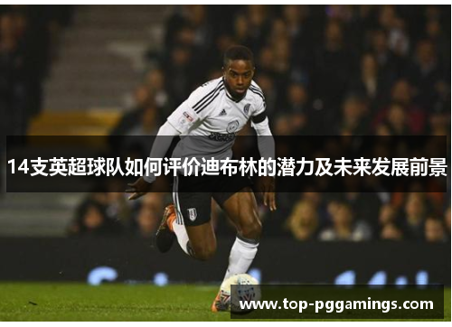 14支英超球队如何评价迪布林的潜力及未来发展前景