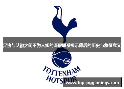足协与队徽之间不为人知的深层联系揭示背后的历史与象征意义
