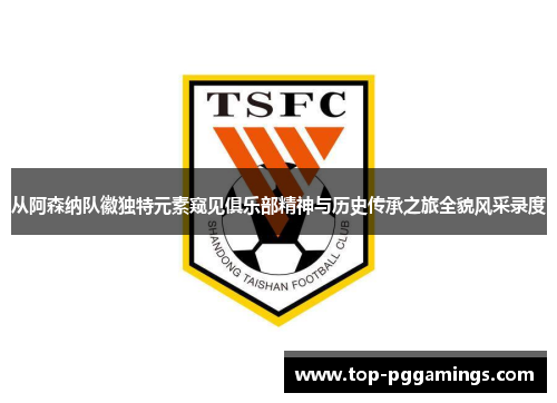 从阿森纳队徽独特元素窥见俱乐部精神与历史传承之旅全貌风采录度 从阿森纳队徽独特元素窥见俱乐部精神与历史传承之旅全貌风采录度