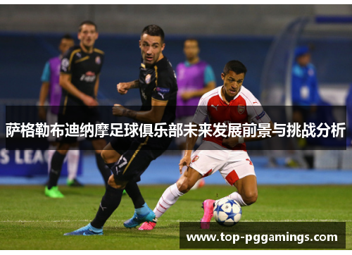 萨格勒布迪纳摩足球俱乐部未来发展前景与挑战分析